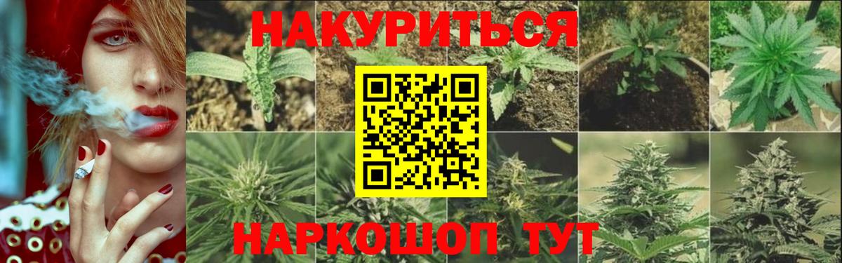 Канабис Bruce Banner  Вход с VPN  Канабис сатива  Белая Калитва 